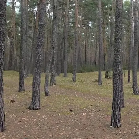 Nowy Zakatek Lägenhet