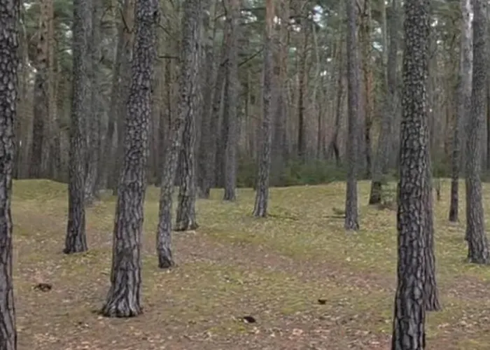 Nowy Zakatek Apartment